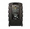 QL-Milano QL-1010 | בידורית קריוקי מקצועית עם עוצמה 1000W