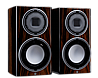 Monitor Audio Platinum 100 3G | רמקול מדפי קומפקטי מבית Monitor Audio