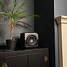 ��� ���� ������ ������� Lithe Audio �� AirPlay 2 �-Chromecast ������