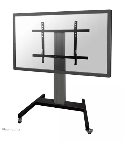 ���� ������ ������ �� "100  Neomounts PLASMA-M2250 SILVER