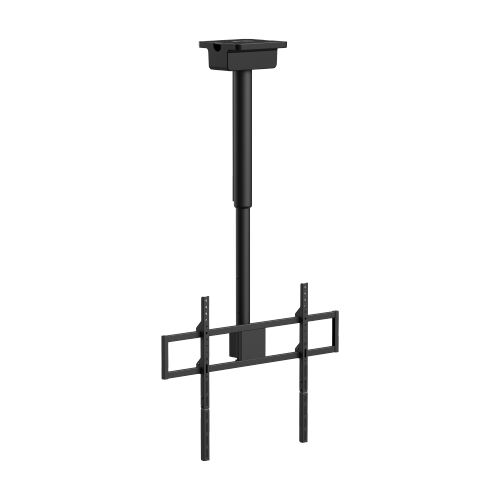 EAZO ECL600-DS � ���� ���� ����� ������ ������ 50�100 �����
