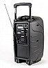 מערכת קריוקי ניידת 12 אינץ' RichTech RT12