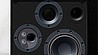 רמקול על הקיר כמו תמונה מעוצב MONITOR AUDIO SSF3
