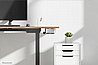 Neomounts NM-TC100BLACK – מתקן למיני-PC / Thin Client להתקנה מאחורי מסך או מתחת לשולחן (עד 5 ק״ג)