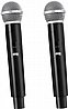 בידורית “2X10 וXUD מיקרופואלחוטיים QL Milano TOWER-210v2