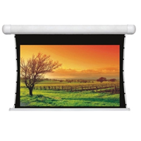 מסכים למקרנים